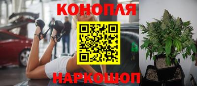 шишки Нягань