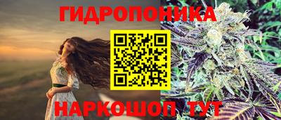 таблы Новозыбков