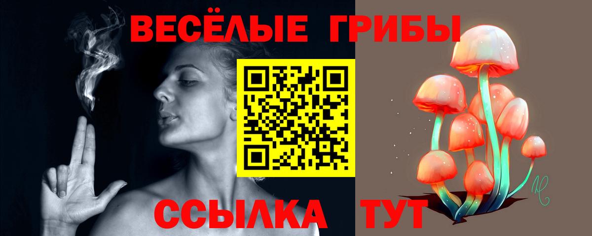 Псилоцибиновые грибы GOLDEN TEACHER  где можно купить   Южно-Сахалинск  Вход с VPN 