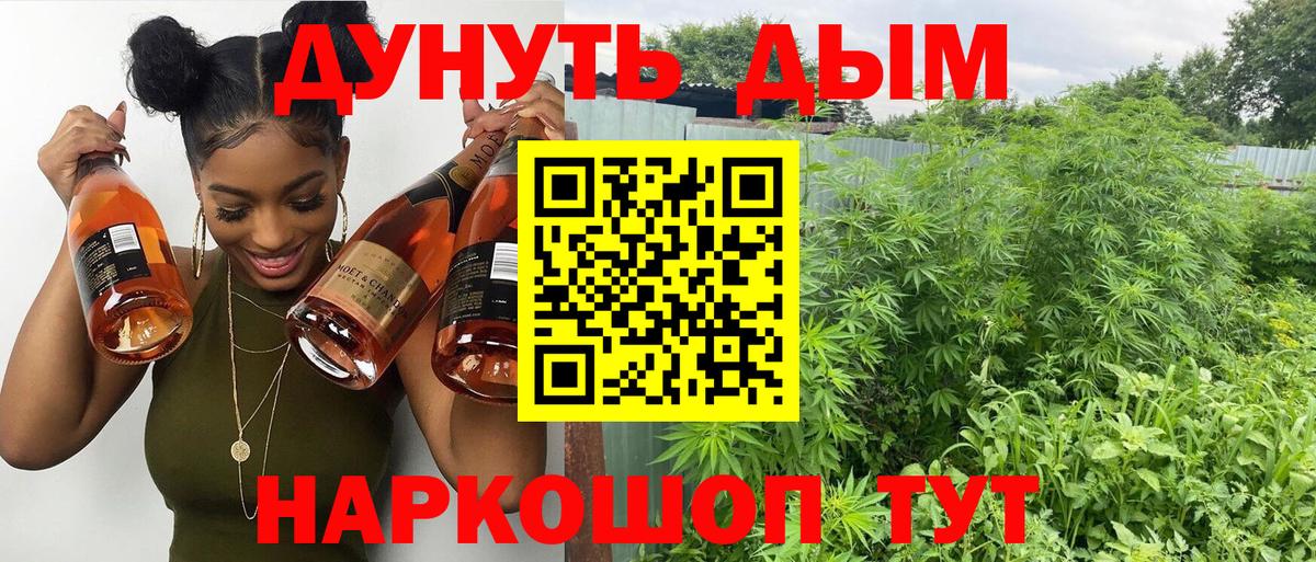 Бошки марихуана марихуана  Марихуана семена  Марихуана SATIVA & INDICA  Вход с VPN  Южно-Сахалинск  Канабис Amnesia 